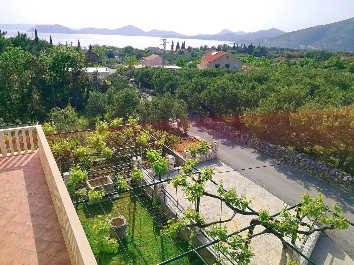 Apartments Kola Banići 외부 사진